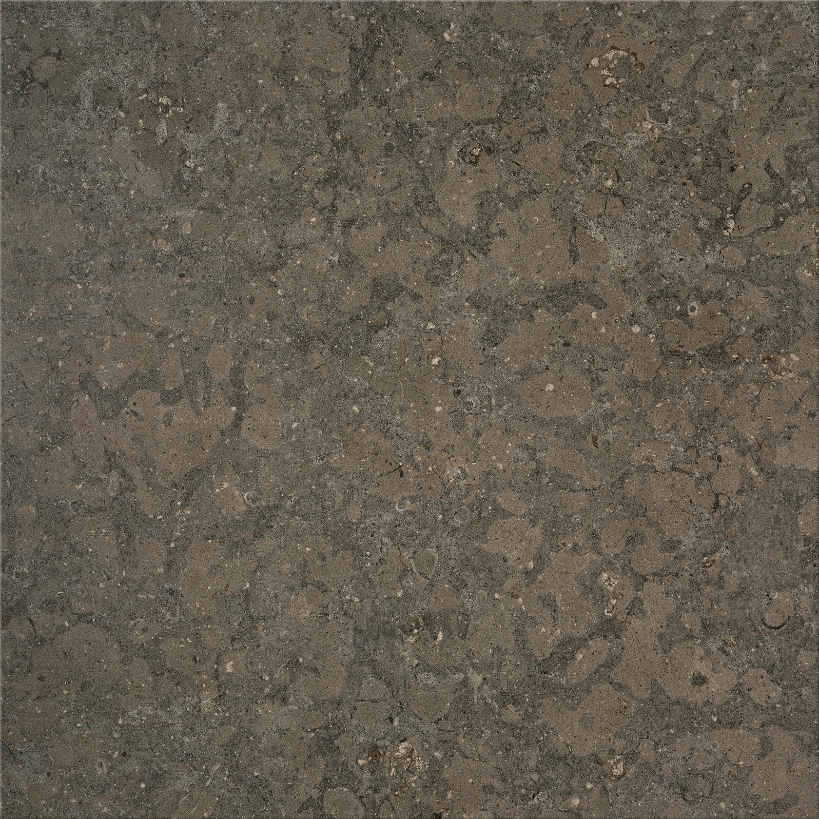 Bricmate Azul Olive 12 mm