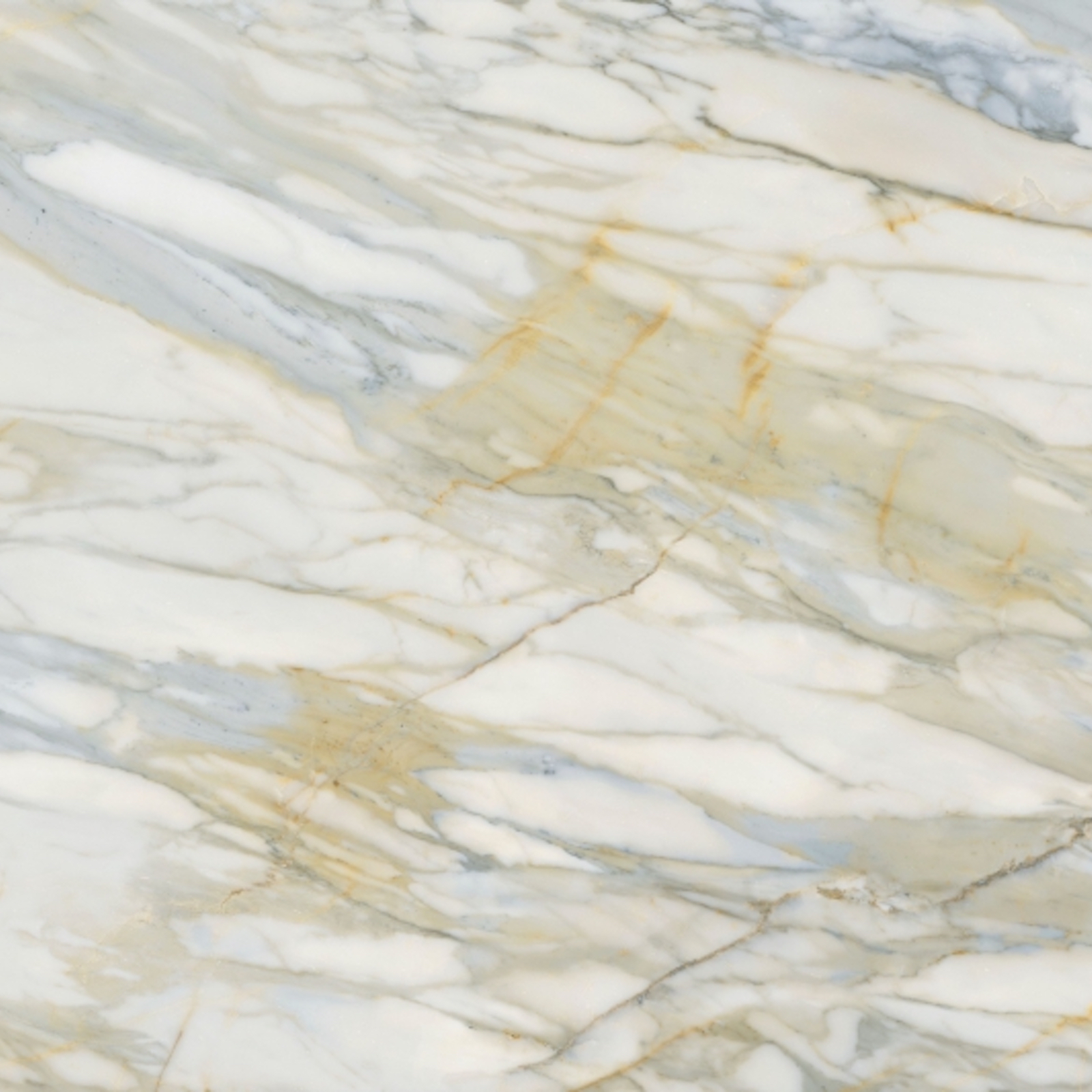 Nuovo Corso Macchia Vecchia Azzurra