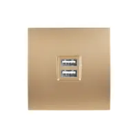 Karo Vägguttag dubbel usb - Guld