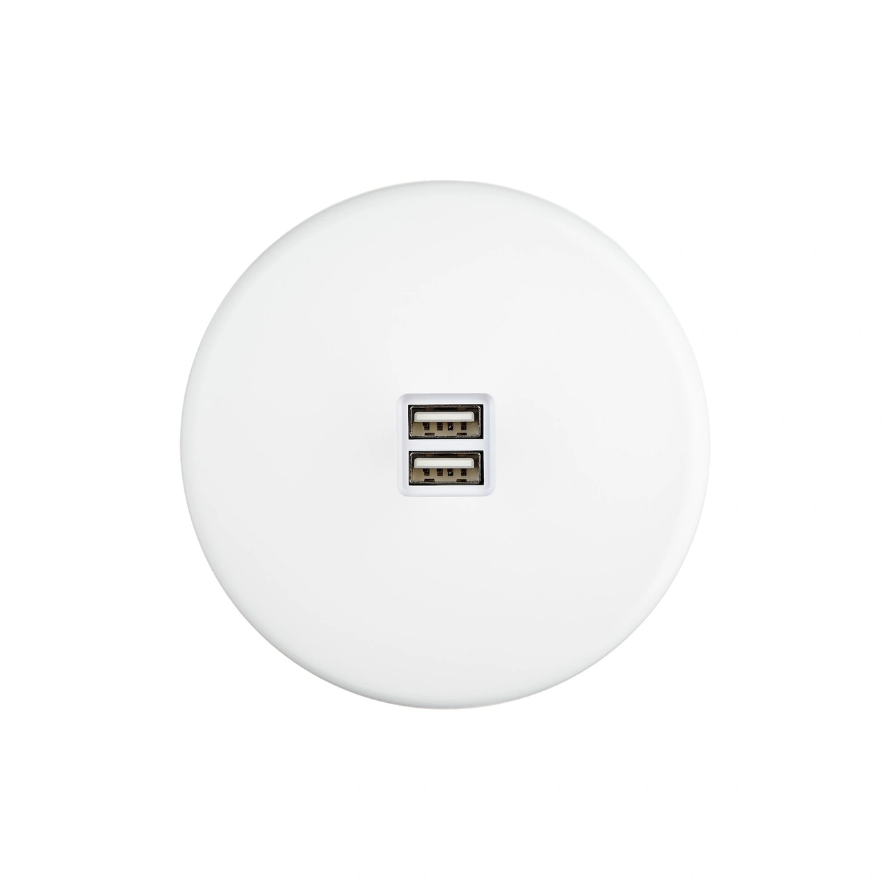 Iris Vägguttag dubbel usb - Vit