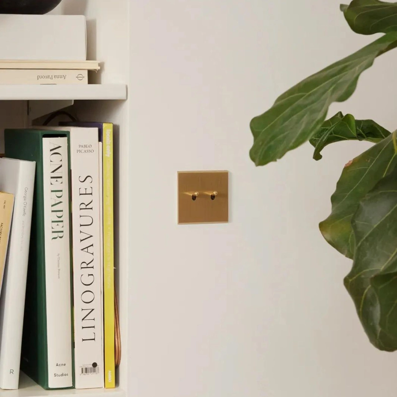 Confidence Strömbrytare dubbel - Borstad mässing