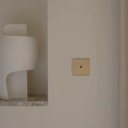 Confidence Strömbrytare singel - Borstad mässing