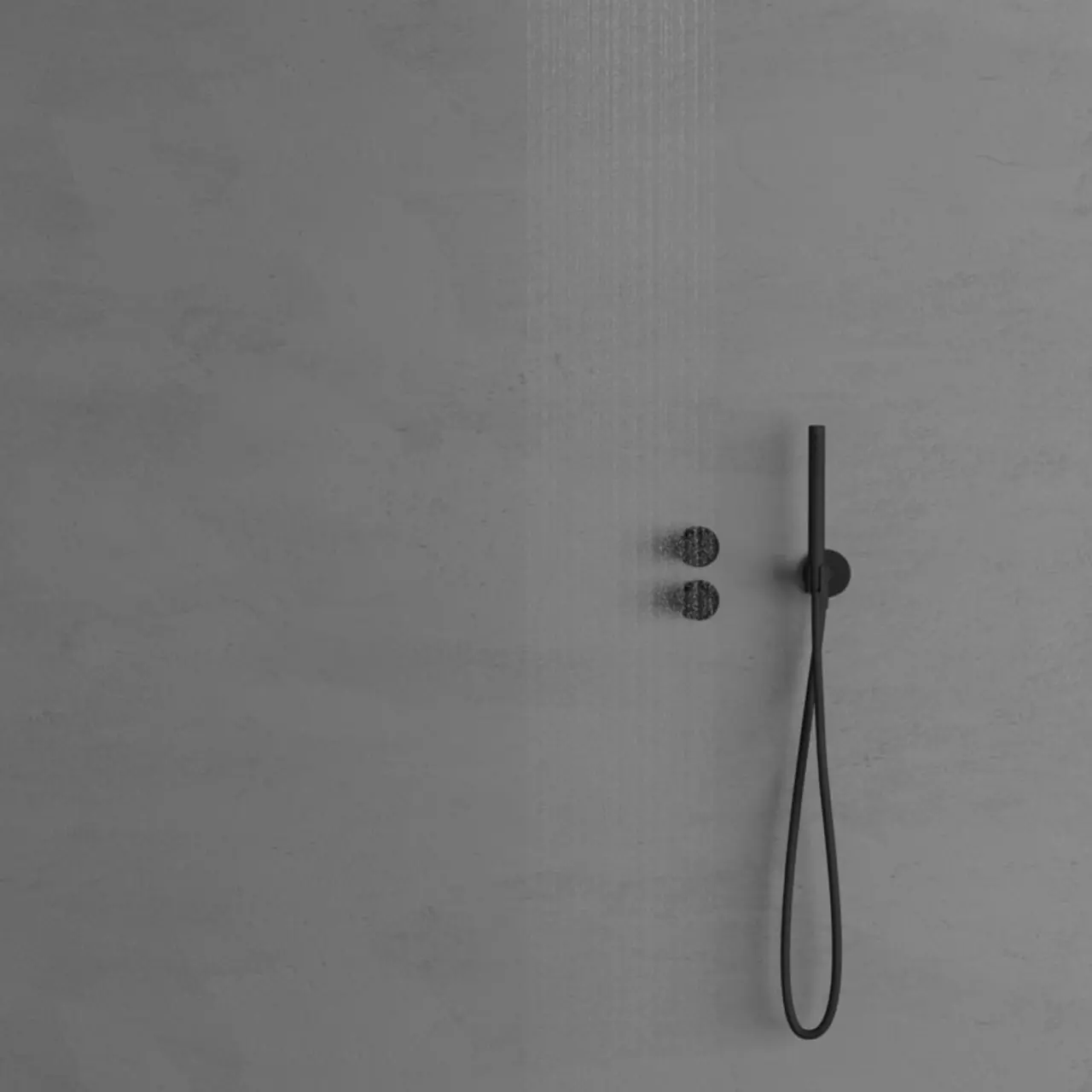 Takdusch Harmonized 2y Coal