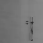 Takdusch Harmonized 2y Coal