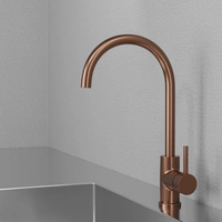 Köksblandare Steel Curve Amber - Utan Diskmaskinsavst.