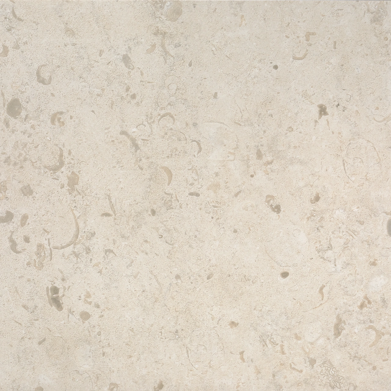 J NORRVANGE IVORY HONED 3D RT 598x598