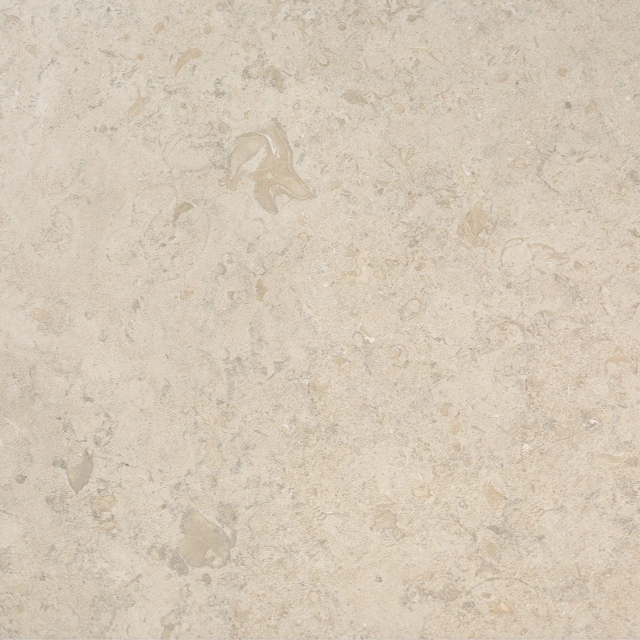 J NORRVANGE IVORY HONED 3D RT 598x598