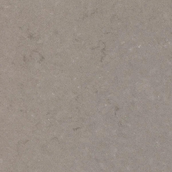 Fossil Nautilus 30mm