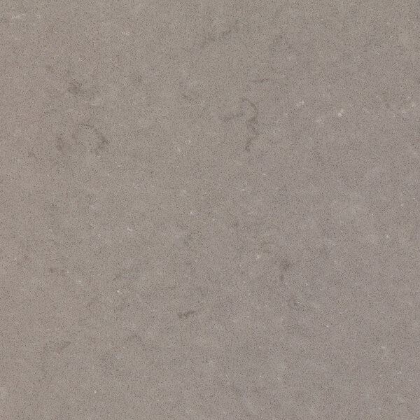 Fossil Nautilus 30mm