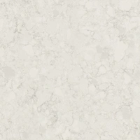 Noble Arco 20mm