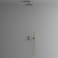 Steel Harmonized 2y Champagne