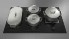 Fulgor Milano Hybridhäll FCHH 905 ID TS G DWK BK