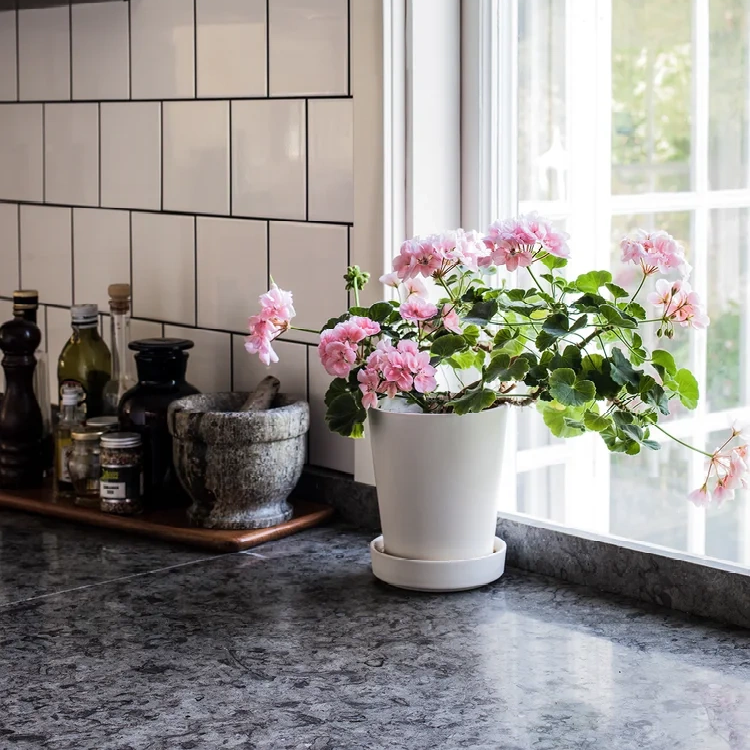 Kinnekulla Kalksten Normalslipad Grå Nr3 30mm