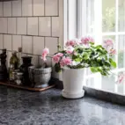 Kinnekulla Kalksten Normalslipad Grå Nr3 30mm