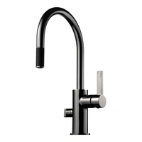 Tapwell Köksblandare ARM385 Black Chrome